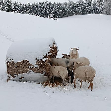 Ubytovani Na Vejminku Rtyne v Podkrkonosi Exterior photo